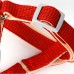 Шлея для собак или кошек с поводком Taotaopets 1710118 Red (1.5 cm) Шлея для собак или кошек с поводком Taotaopets 1710118 Red (1.5 cm)