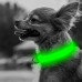 Светодиодный LED ошейник USB светящийся для собак и котов Green M