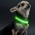 Светодиодный LED ошейник USB светящийся для собак и котов Green XS