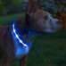Светодиодный LED ошейник USB светящийся для собак и котов Blue XL