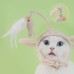 Игрушка шапочка дразнилка DT-569 для кошек Pink Rabbit Игрушка шапочка дразнилка DT-569 для кошек Pink Rabbit