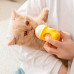 Бутылка для кормления молоком котят и щенков 2404SPBL8061 80 мл с соской Yellow