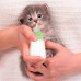 Бутылка для кормления молоком котят и щенков Taotaopets 126606 с соской щетки для мытья Green