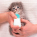 Бутылка для кормления молоком котят и щенков Taotaopets 126606 с соской щетки для мытья Blue