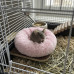 Лежак N307001 для хомяков спальное место для мелких грызунов Pink