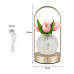 Настольная лампа LED светильник ночник Tulips Crystal ZBTSYJX0417 в виде букета тюльпанов в хрустальном шаре в колбе Pink