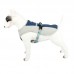 Шлея для собак TUFF HOUND TH00205 Blue M Шлея для собак TUFF HOUND TH00205 Blue M