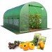 Садова теплиця 10 м² (4 x 2,5 х 2 м) Зелена (Польща)