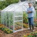 Садова теплиця з полікарбонату 4,75 м² (2,5 х 1,9 х 1,95 м), Прозора