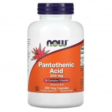 Пантотеновая кислота, Pantothenic Acid, Now Foods, 500 мг, 250 растительных капсул