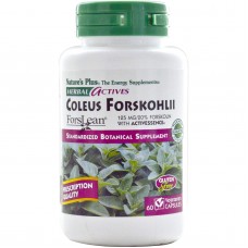 Форсколин, Coleus Forskohlii, Nature's Plus, Herbal Actives, 125 мг, 60 капсул Форсколин, Coleus Forskohlii, Nature's Plus, Herbal Actives, 125 мг, 60 капсул