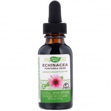 Эхинацея, Echinacea, Nature's Way, 500 мг, 30 мл Эхинацея, Echinacea, Nature's Way, 500 мг, 30 мл