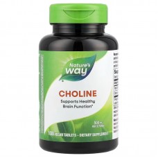 Холин, Choline, Nature's Way, 500 мг, 100 веганских таблеток Холин, Choline, Nature's Way, 500 мг, 100 веганских таблеток